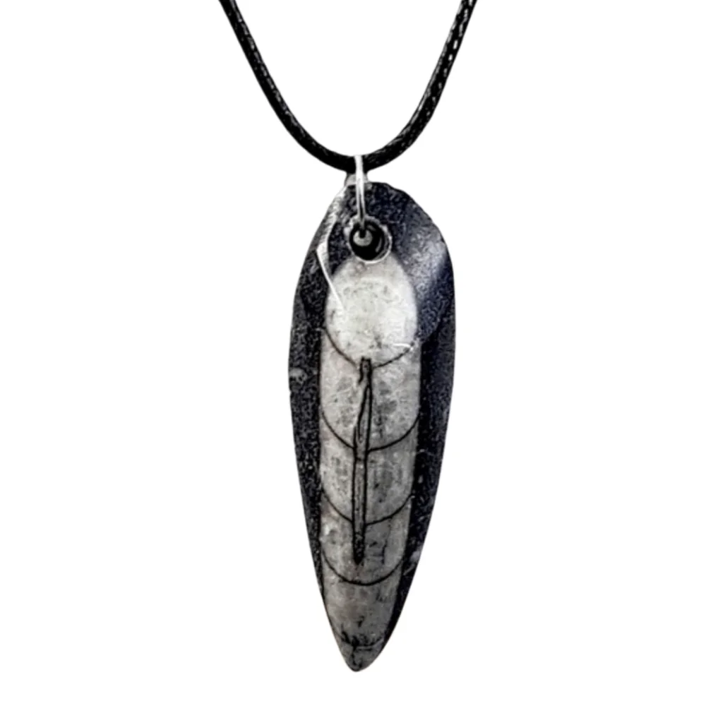 Genuine Fossilized Orthoceras Pendant w/ Black Cord Necklace | NWOT